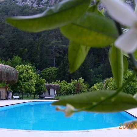 Portalimo Lodge Hotel - Adult Only +12 Çıralı Eksteriør billede