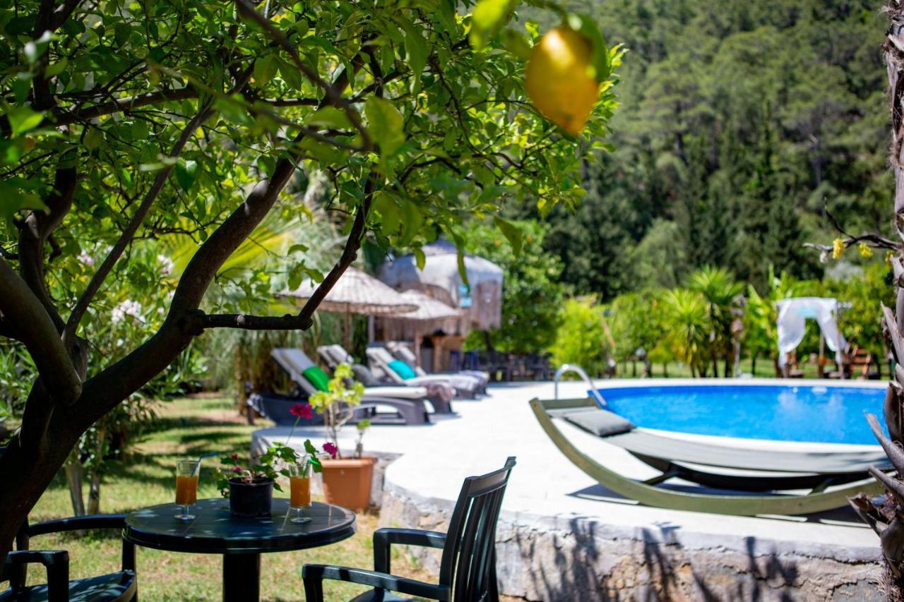 Portalimo Lodge Hotel - Adult Only +12 Çıralı Eksteriør billede