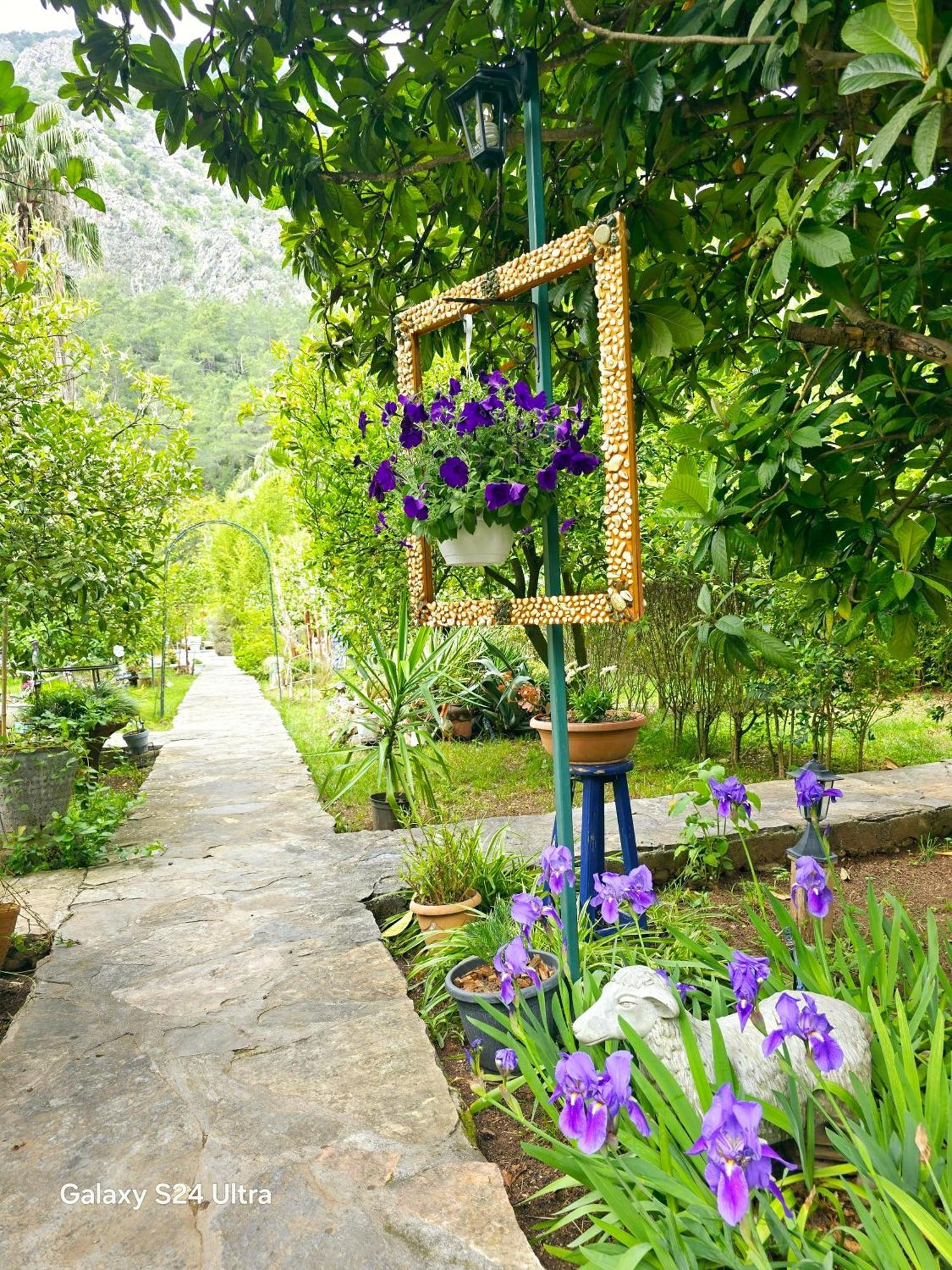 Portalimo Lodge Hotel - Adult Only +12 Çıralı Eksteriør billede