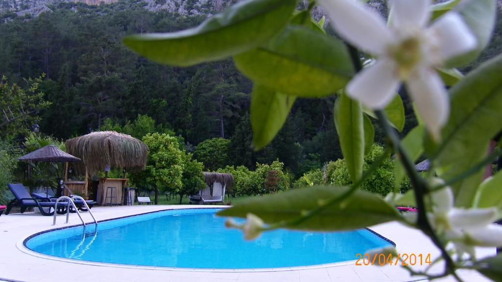 Portalimo Lodge Hotel - Adult Only +12 Çıralı Eksteriør billede